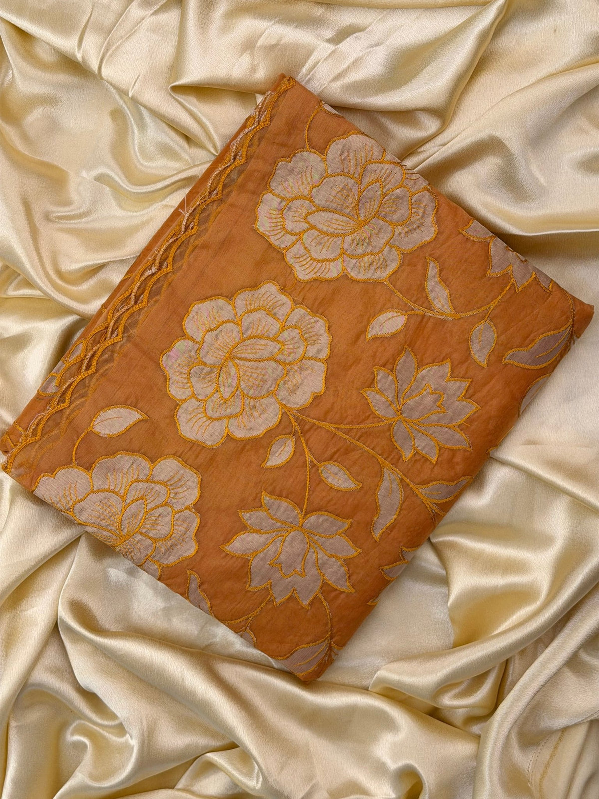 JASMINE BURNT ORANGE:PREMIUM ORGANZA SAREE - aurimo.inJASMINE BURNT ORANGE:PREMIUM ORGANZA SAREE