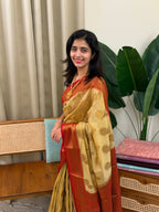 KANIHA CHICKOO AND RED:SEMI BANARASI SAREE - aurimo.inKANIHA CHICKOO AND RED:SEMI BANARASI SAREE