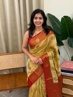 KANIHA CHICKOO AND RED:SEMI BANARASI SAREE - aurimo.inKANIHA CHICKOO AND RED:SEMI BANARASI SAREE