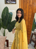 MALAR YELLOW:CHANDERI COTTON SAREE - aurimo.inMALAR YELLOW:CHANDERI COTTON SAREE