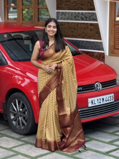 MEGHA:PREMIUM BANARASI DARK CHICKOO