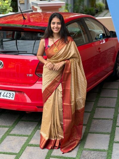SIMA:SEMI BANARASI SAREE CHICKOO