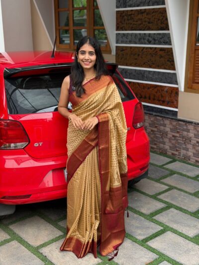 SIMA:SEMI BANARASI SAREE CHICKOO AND MAROON