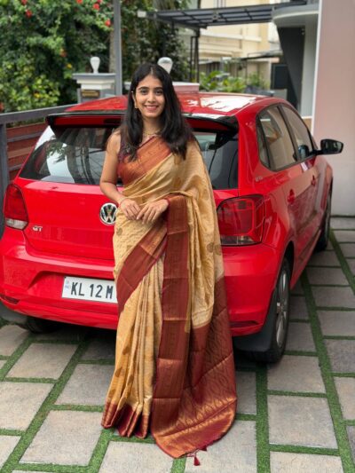 CHANDRA:SEMI BANARASI CHICKOO COLOUR