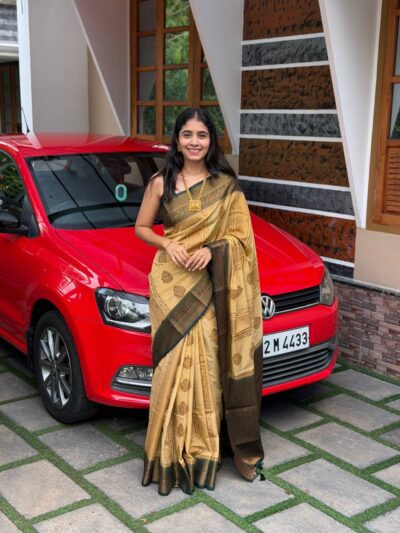 MEENAKSHI:BANARASI SAREE CHICKOO AND GREEN