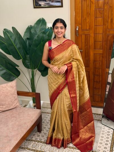 ARUNA:SEMI BANARASI CHICKOO COLOUR